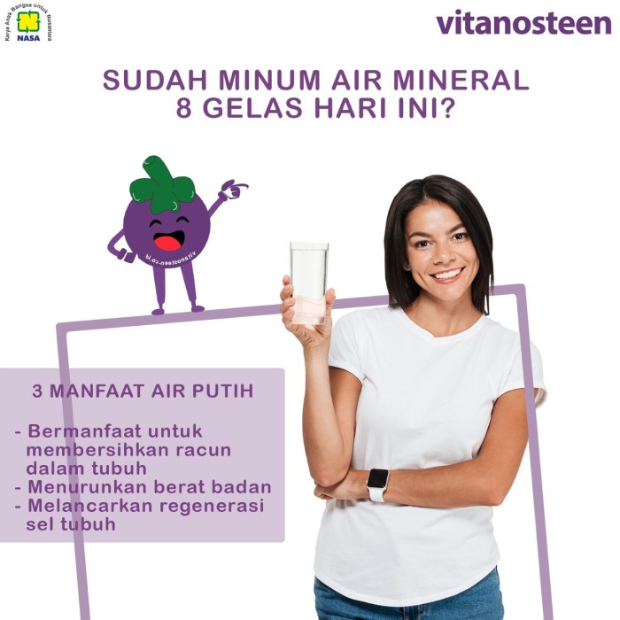 Peran Air Putih dalam Menjaga Fungsi Tubuh