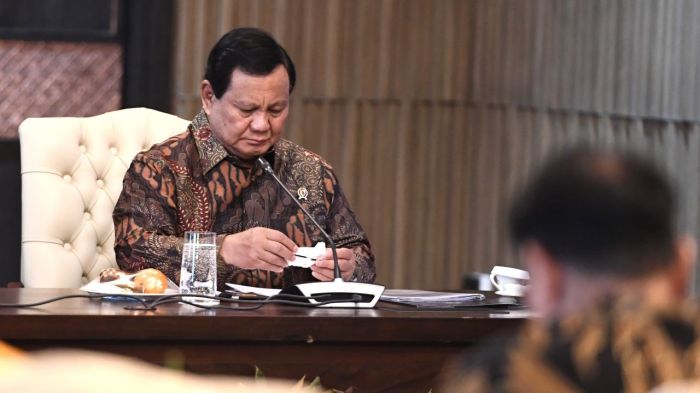 Presiden Prabowo Setujui Anggaran Rp48,8 Triliun untuk Pembangunan IKN