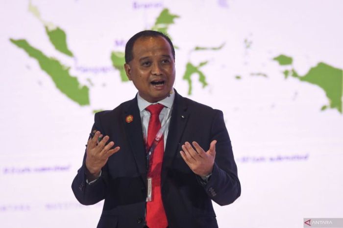 Banyak Investor IKN Belum Realisasikan Investasi, Otorita Buka Suara