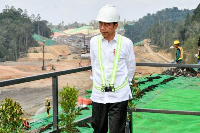 Bos Otorita Harap Proyek IKN Kecipratan Investasi Danantara